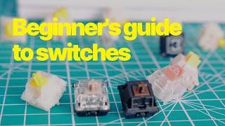 A Beginner's Guide to Keyboard Switches