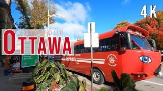 OTTAWA CITY TOUR | Relaxing Walk Around Beautiful City | 