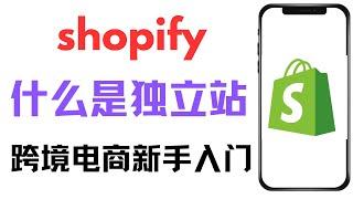 shopify新手教程，跨境电商新手入门基础知识，什么是独立站shopify，独立站和亚马逊有什么区别，独立站怎么运营