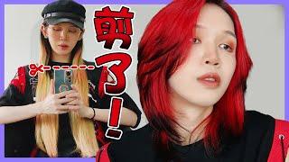 【我的紅黑短髮️】１２年，我把我的４５公分剪了｜I Cut My Hair Short and Dye it to Red｜Anima趴趴走