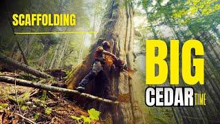 Chasing Cedars | Opening a new block