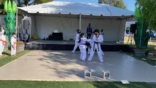 William Kim’s Tae Kwon Do Academy demo team 2021