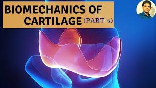 BIOMECHANICS OF  CARTILAGE (PART 2) | SIMPLIFIED
