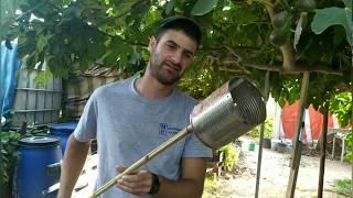 Cómo y cuándo recolectar higos y brevas/ cómo hacer un recolector de frutas altas.