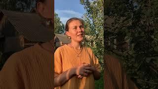 Чувствовительность: Разбираемся с вирусами и энергетикой . Мой опыт.
