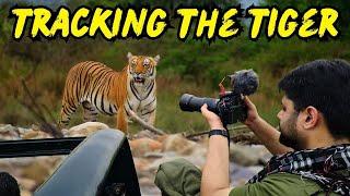 Best Zone in Jim Corbett National Park for Tiger Sighting | Jim Corbett Safari | Jungle Safari