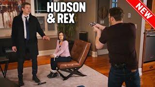 Hudson & Rex 2024 - Canine Crime Solvers Prescription Box Hudson And Rex Full Episode HD