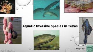 Aquatic Invasive Species in Texas