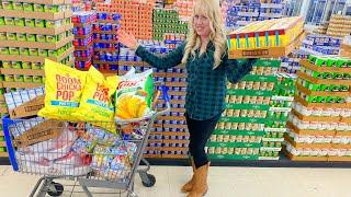 $125 EXTREME FRUGAL Groceries America's Cheapest Grocery Store (and MORE shopping!)