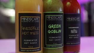 Mindscape Promo