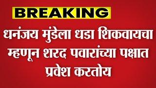 धनंजय मुंडेंसमोर नवं आव्हान, पंकजा मुंडेना धक्का, हा नेता पवारांसोबत; Rajabhau Phad, Dhananjay Munde