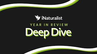 iNaturalist 2023 Deep Dive Webinar