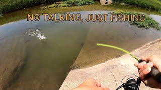Non Stop Bites -All Fishing, NO TALKING (ASMR)