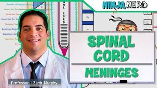 Neurology | Spinal Cord Meninges