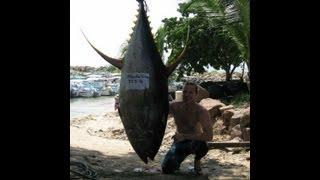 Spearfishing World Record 353lbs Yellowfin Tuna by Julian Allen-Ellis