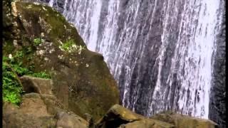 Cruise Line Excursions: La Coca Falls, El Yungue Rainforest