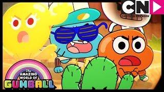 Gumball | Books Are The Enemy | The Blame  | Cartoon Network