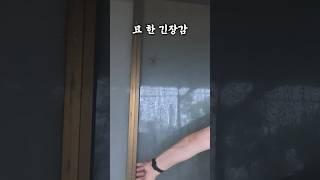 #Shorts 이렇게 긴장될 일이야?