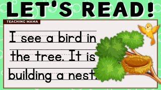 LET'S READ! | PRACTICE READING ENGLISH | SIMPLE SENTENCES FOR KIDS | LEARN TO READ | TEACHING MAMA