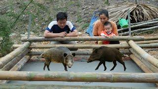 Completing the Shelter, Ly Thi Di Continues to Build a Livestock Farm
