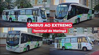 ÔNIBUS AO EXTREMO: Movimentação de ônibus no Terminal Intermodal de Maringá