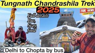 Tungnath and Chandrashila trek 2025 | Delhi to Chopta by bus Full details #tungnath #vlog