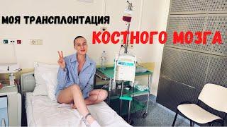 Моя трансплантация костного мозга