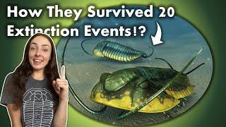 Were Trilobites the most successful animal ever?!🪳 GEO GIRL