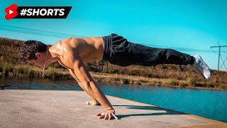 TOP 7 Planche Exercises for Beginners!