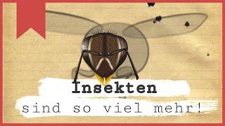 Insekten sind so viel mehr - Insecticon