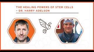 The Healing Powers of Stem Cells with Dr. Harry Adelson