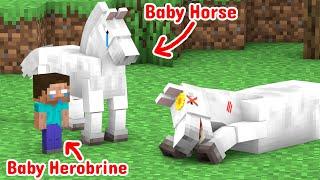 The Sad Life Of The Horse -  Minecraft Animation