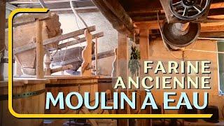 Visite d'un MOULIN à EAU, dans lequel on fabrique des farines d'exception