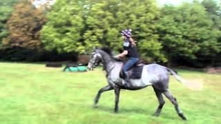Cosmic Curious XC