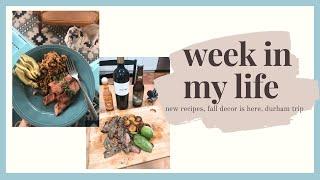 WEEK IN MY LIFE | steak dinner, durham visit, autumn decor is here!