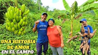 SACANDO (Yuca Batata)En El CONUCO De NICOLAS,EL REPORTERO DEL CAMPO