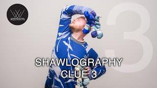 Shawlography Clue 3 Sections 10 & 11