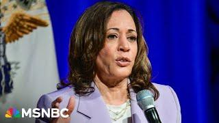 'A lot of excitement' around VP Harris's running mate pick