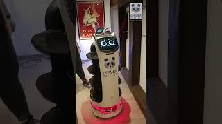 DigPanda Robotics, Service- und Reinigungsroboter