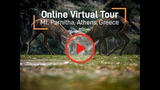 For Explorers Staying Home : Οnline Virtual Tour Mt. Parnitha, Athens, Greece - Trekking Hellas