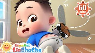 Ñi Ñi Mosquitos | Canción de los Mosquitos | LiaChaCha en Español - Canciones Infantiles