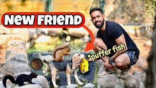 Dog meets Squirrel ️ | ഇവൻ അണ്ണാൻ കുഞ്ഞിനെ തിന്നുവോ ആവൊ!!!