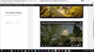 Create YouTube Video Gallery In WordPress Website - You Video Gallery Pro Plugin