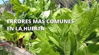 Errores Más Comunes Que Cometemos En Nuestra Huerta