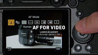 Auto Focus for Video | LUMIX Academy | S5
