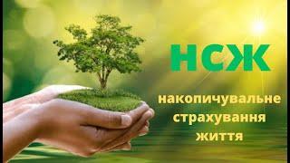 #нсж накопичувальне страхування життя полiс-спосiб накопичення коштiв  отримання додаткового доходу