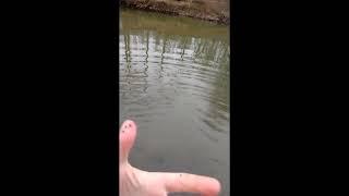 Indiana Steelhead fishing at Little Calumet