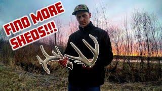Top Shed Hunting Tips - FIND MORE SHED ANTLERS