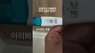 5일배양 동결이식 5일차 임테기 아직 이른거겠지 ㅋㅋ 그런 거..겠...지....#시험관 #동결이식 #난임일기 #난임