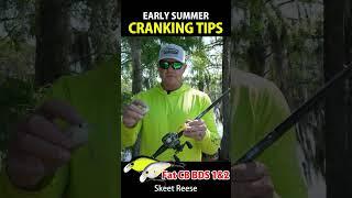 Early Summer Cranking Tips 【Early Summer 05, 06, 07】